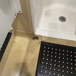 Manzanita Lake Campground - Hair clumps left in the shower stalls