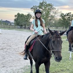 North Houston Horse Park - Pebbles the horse