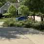 Angel Tree Removal