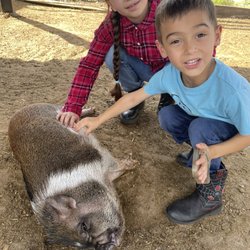 Delmar Farm
