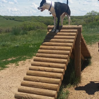 Glendale Open Space Dog Park - One of the may things to climb on at the obstacle course! - Dog Parks Near Me - Castle Rock, Colorado