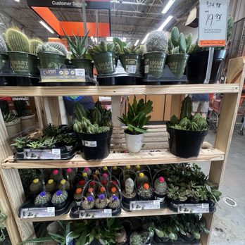 The Home Depot - Succulents on sale - Nurseries & Gardening Near Me - Mechanicsburg, Pennsylvania