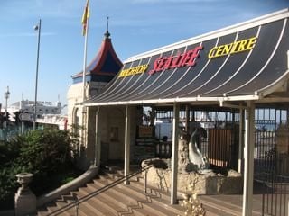 SEA LIFE Brighton by null