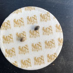 Sipkoi - Burnt seeds in my bowl from their best product. Maven Genetics and this store is a flunk