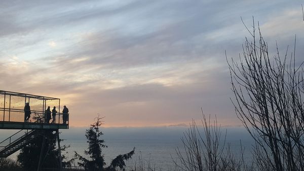 Carkeek Park by null
