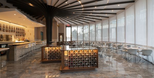 MF Lobster & Ceviche by null