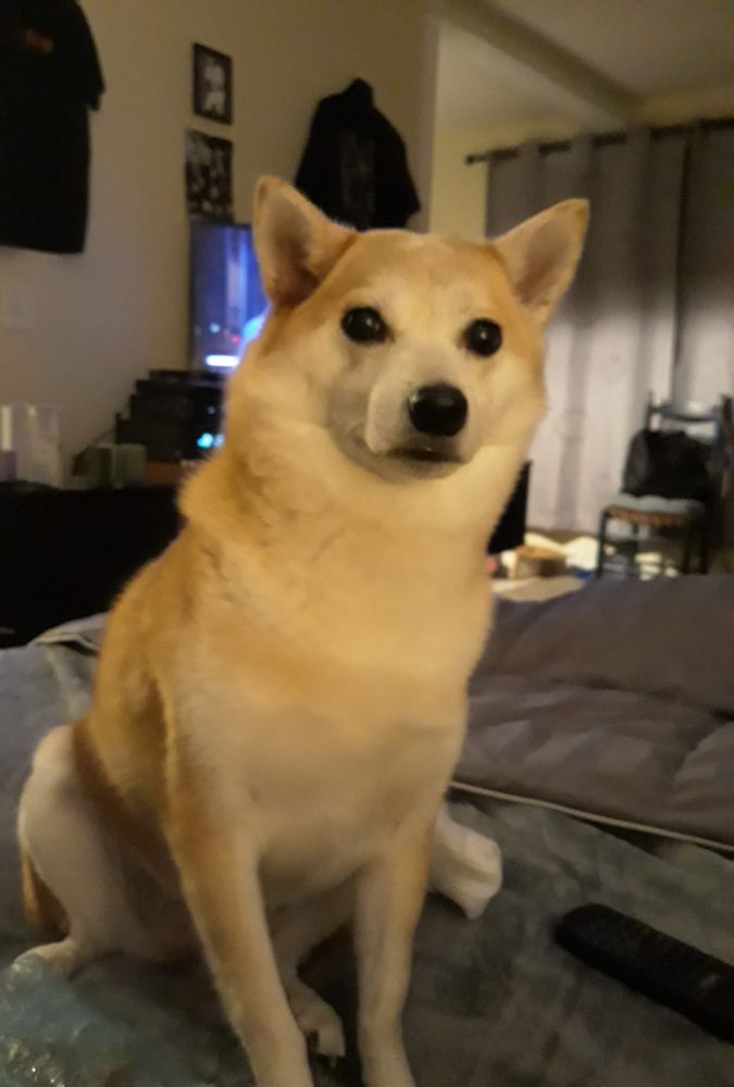 SALON 888 Updated August 2024 17 Reviews 888 Smith St, Providence, Rhode Island Hair