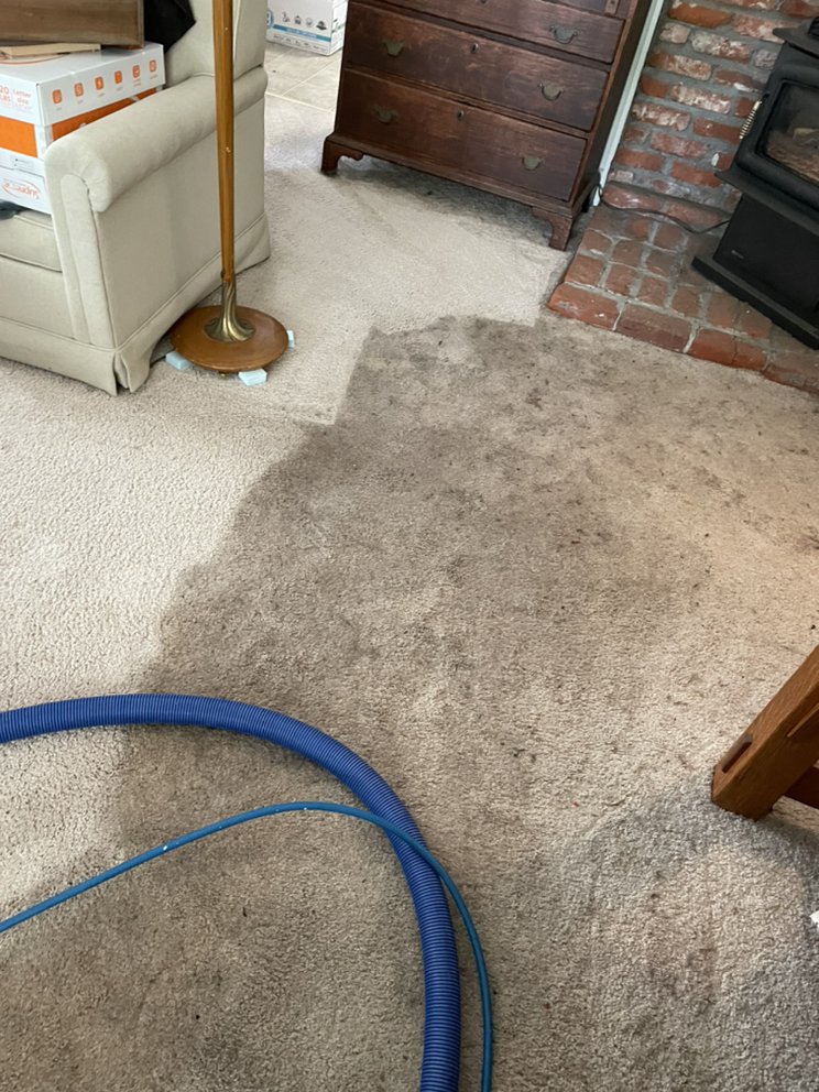 CENTRAL WASHINGTON CARPET CLEANING Updated September 2024 Request a