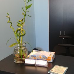 Performance Physical Therapy - Woodbridge - Stop by and meet our betta fish.