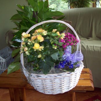 Cherry Blossom Florist - Florists Near Me - Rockford, Illinois