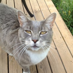 Forbidden Fruit Winery - Oh-so-friendly welcoming committee!