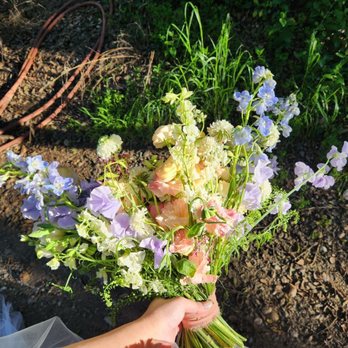 Cottage Garden Florals - My view during the wedding day - Florists Near Me Cottage Garden Florals - My view during the wedding day - Florists Near Me