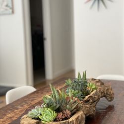 Rooted Mill Valley - Custom wood succulent centerpiece