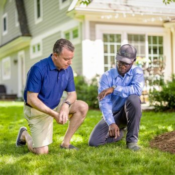 SpringGreen - a man and a man kneeling in front of a house - Tree Services Near Me SpringGreen - a man and a man kneeling in front of a house - Tree Services Near Me