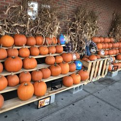Shaw's - Fall setup at the front of the store is in full force!