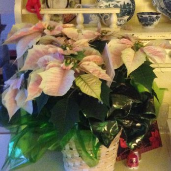 B & B Floral - Florists Near Me - Vallejo, California B & B Floral - Florists Near Me - Vallejo, California