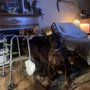 Photo of Windy Hill Retreat Private Care Home