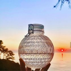 Alive Water