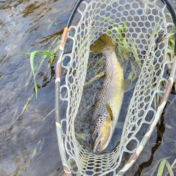 Weis Guide Service - Fishing Near Me