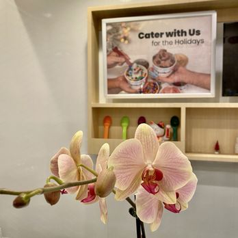 Yogurtland - Ice Cream & Frozen Yogurt Near Me - Mountain View, California