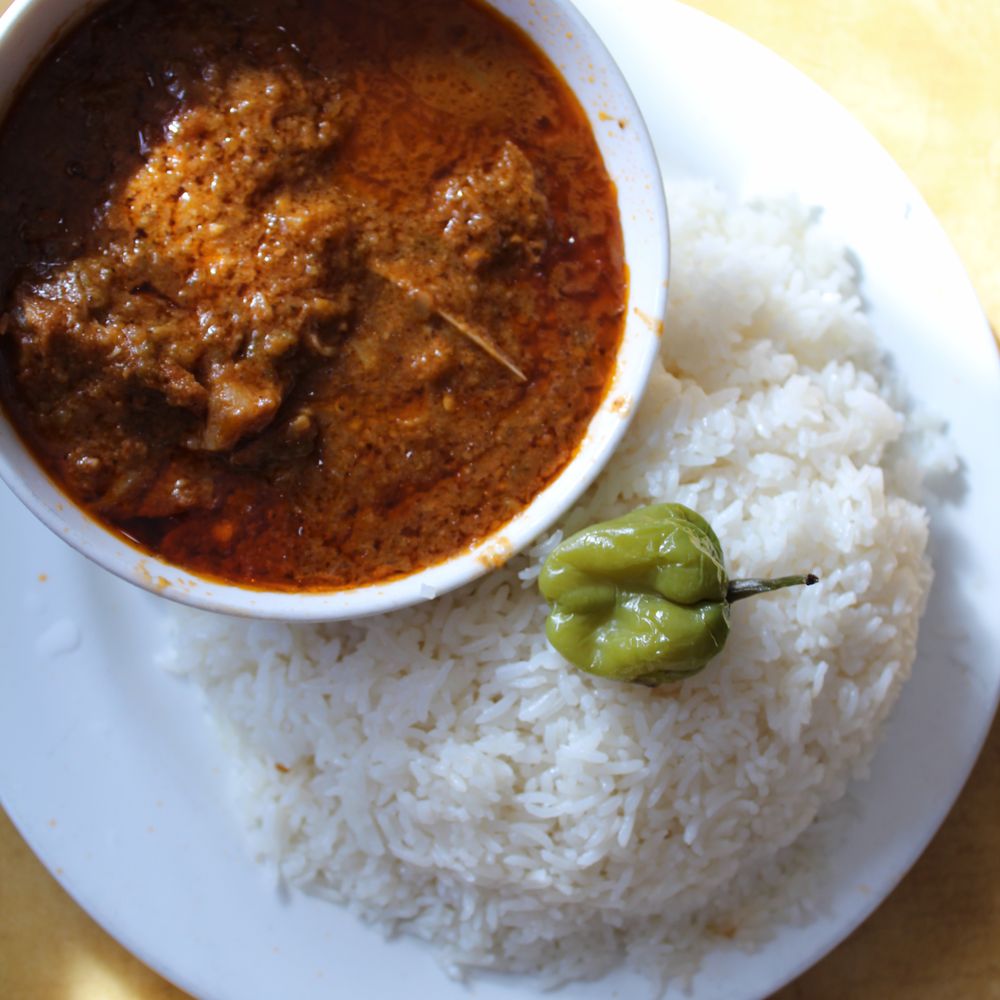 a bowl of curry and rice a bowl of curry and rice