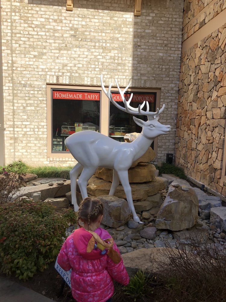 BIG ROCK CANDY KITCHEN 32 Photos & 21 Reviews 131 Island Dr, Pigeon