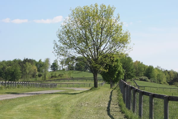 Liberty Farms by null