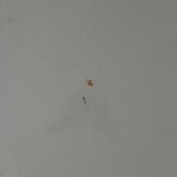 Your Way Moving - Photos of damages they did.