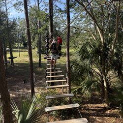 Orlando Tree Trek