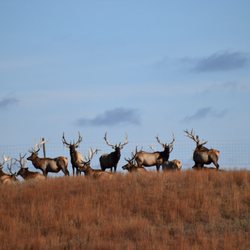 Timber Lake Lodge