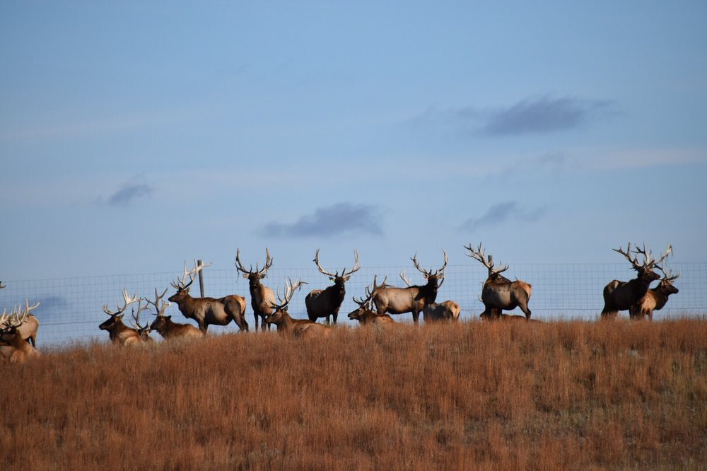 TIMBER LAKE LODGE Updated August 2024 14 Photos County Hwy 5A