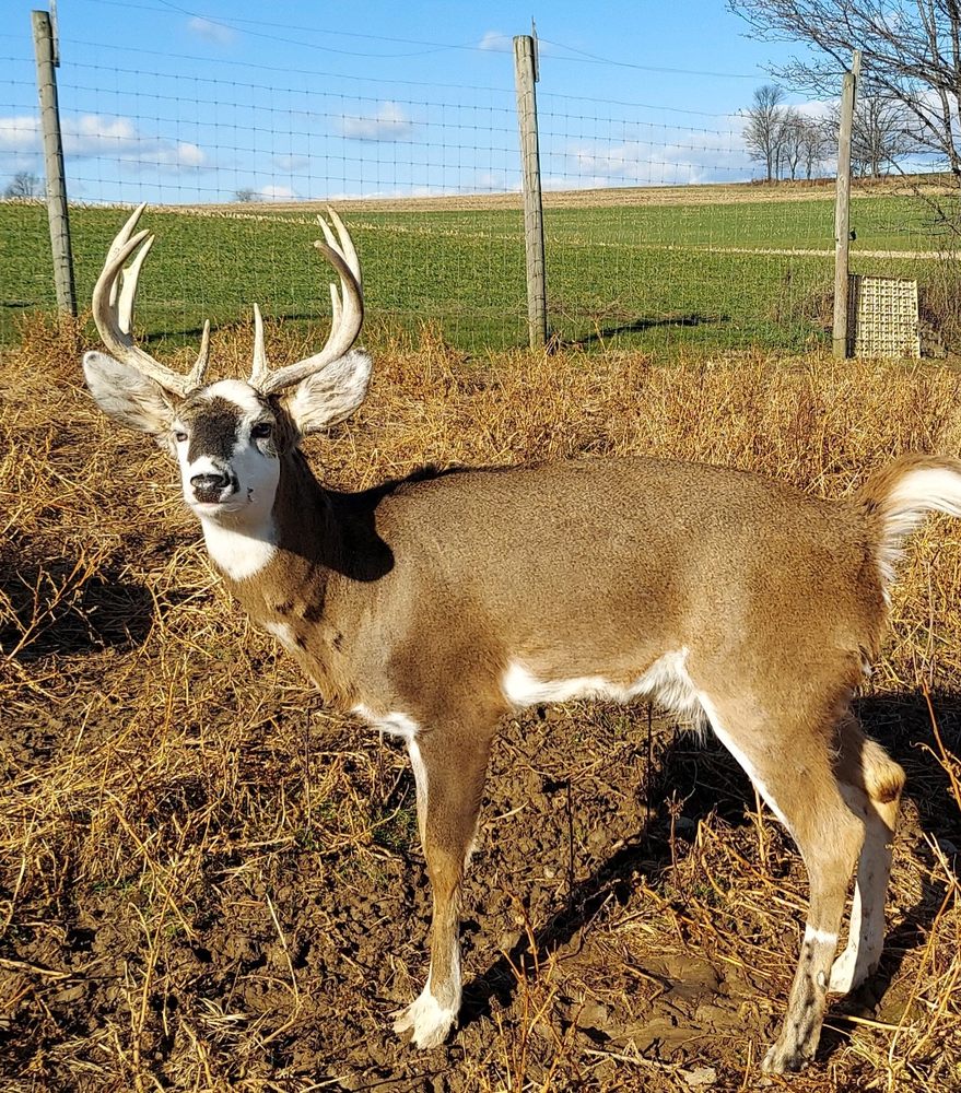 Slide of E-Mae-Zing Plumbing