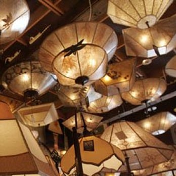 Sue Johnson - Ceiling shot inside Lamp Shop - Lighting Fixtures & Equipment Near Me - Berkeley, California