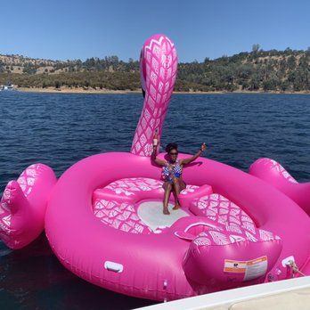 Don Pedro Lake - I'm known as the flamingo not a good story, but I love what I've become - Lakes Near Me - La Grange, California Don Pedro Lake - I'm known as the flamingo not a good story, but I love what I've become - Lakes Near Me - La Grange, California