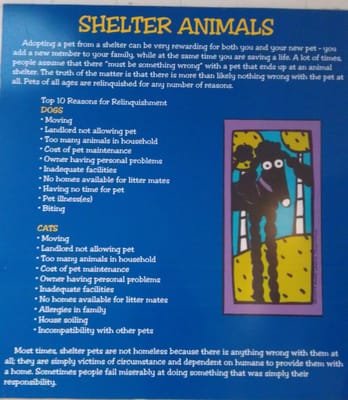 Chicago Animal Care and Control by null