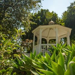 Moon Valley Nurseries - Gazebo in the green at out Carmel Nursery