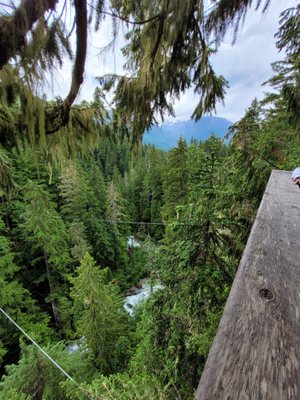 Ziptrek Ecotours by null