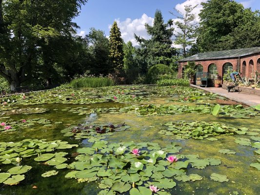 Giardini Botanici di Villa Taranto by null