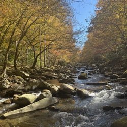 The Smoky Mountain Angler