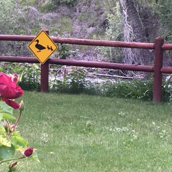 Little Salmon Lodge - Nice touches around the place made our stay fun. - Bed & Breakfast Near Me - Pollock, Idaho