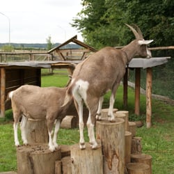 Münchner Kinder- und Jugendfarm