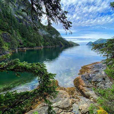 Orca Island Cabins by null