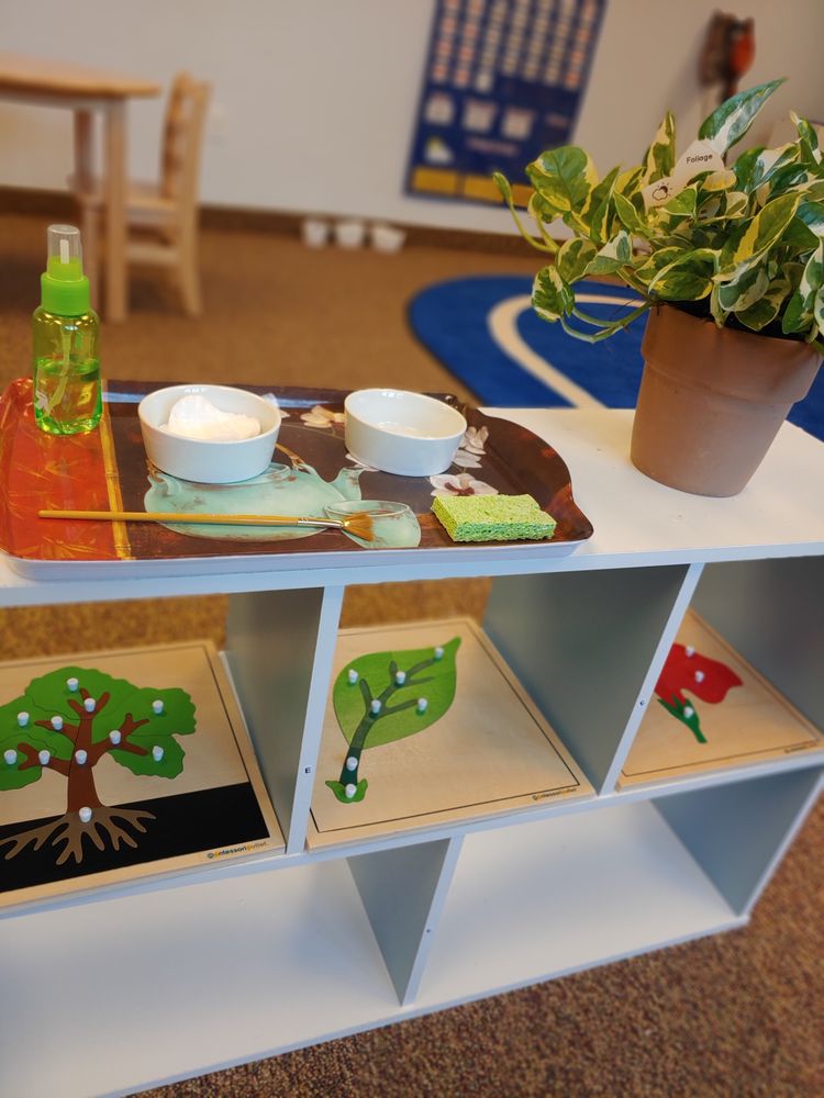 Montessori Life - childcare center in Macedonia, OH