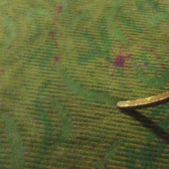 Heritage Inn Express - This motel is the worst motel I have ever see, if you see my photos you can see blood on the carpet and curtains - Hotels Near Me - Hayward, California