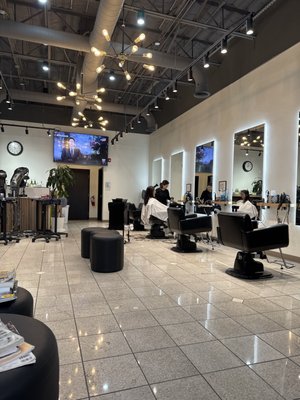 The One Hair Gallery