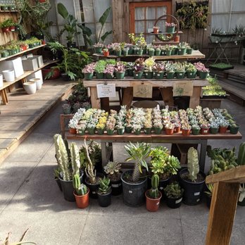 Succulence - Outdoor heaven I call it - Team Building Activities Near Me