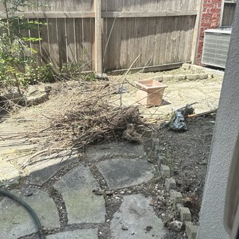 NS Landscaping & Renovations - Left branches in a pile under the tree. This cannot count as a yard cleanup. - Landscape Architects or Designers Near Me