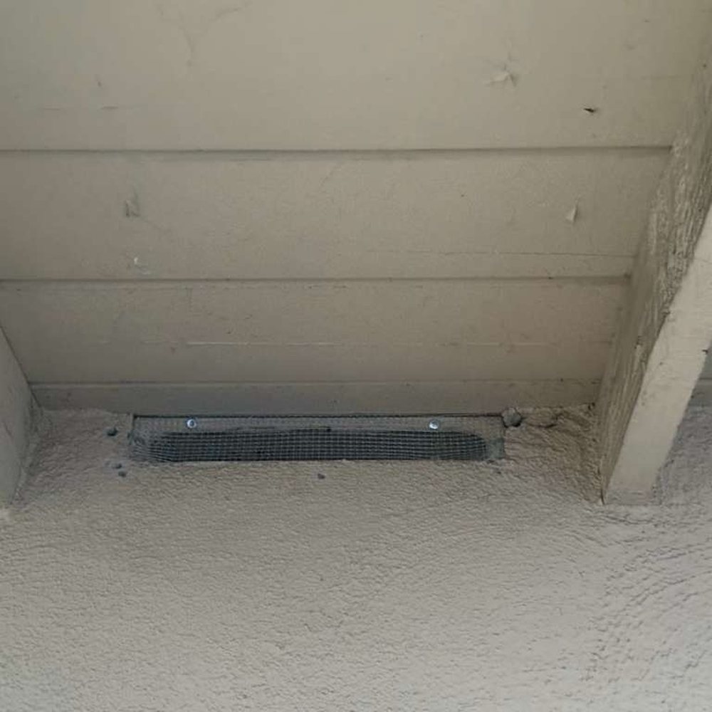 360 Rodent Control - Pest Control Near Me 360 Rodent Control - Pest Control Near Me