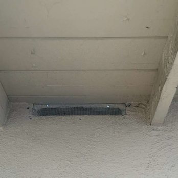 360 Rodent Control - Pest Control Near Me