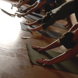 Bosque Om Yoga - Our floors are cool concrete. Yeah, concrete! Come experience our unique floors!